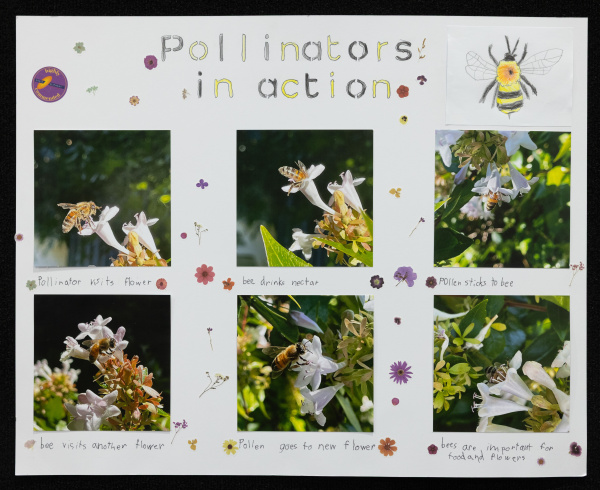 Posters R 2 0328 037 Haylock