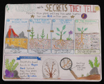 Posters R 2 0560 069 Robinson