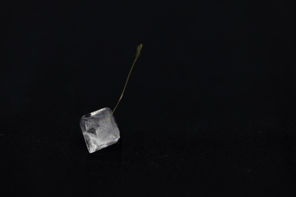 Crystals 3 4 0641 007 Wang